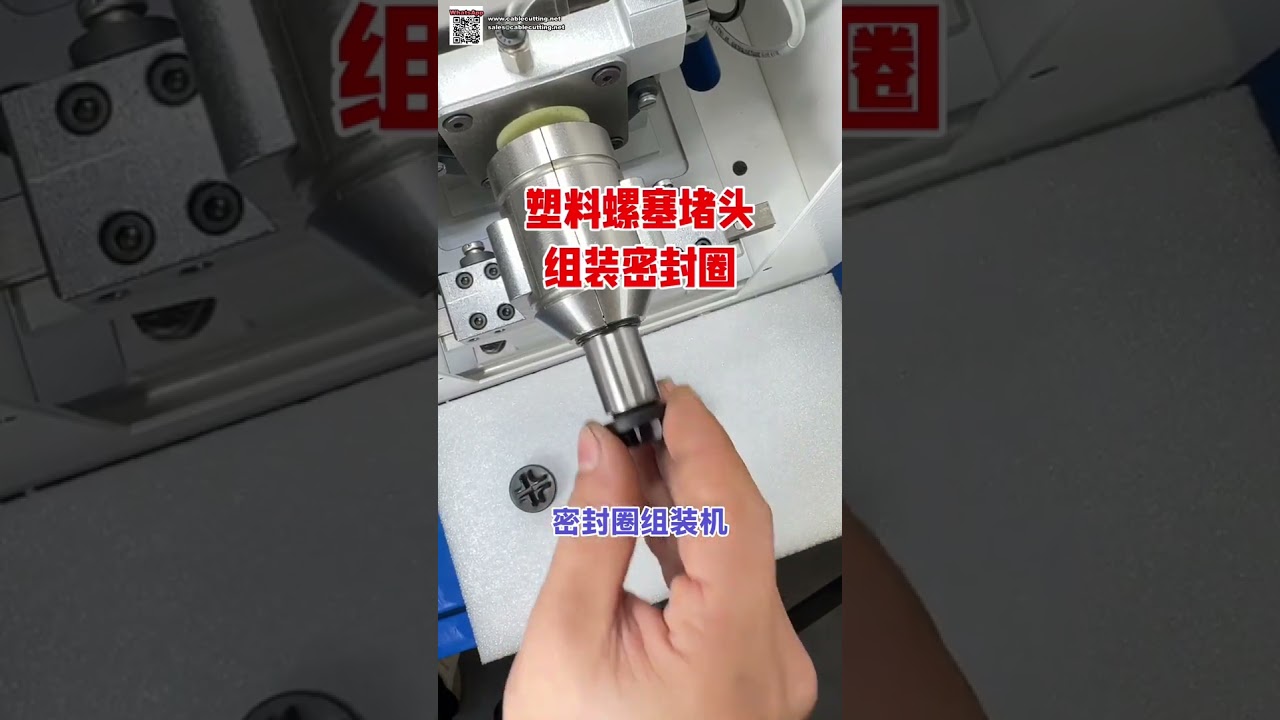 Direct Factory Automatic O Ring Sealing Ring Assembly Machine and Manufacturing - Shorts