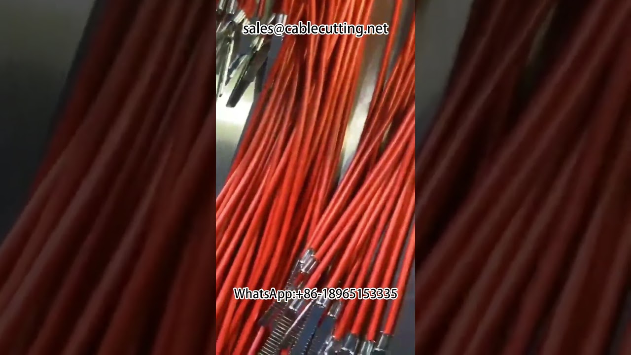 Automatic double head termination single penetration waterproof plug stripping machine #terminal mac