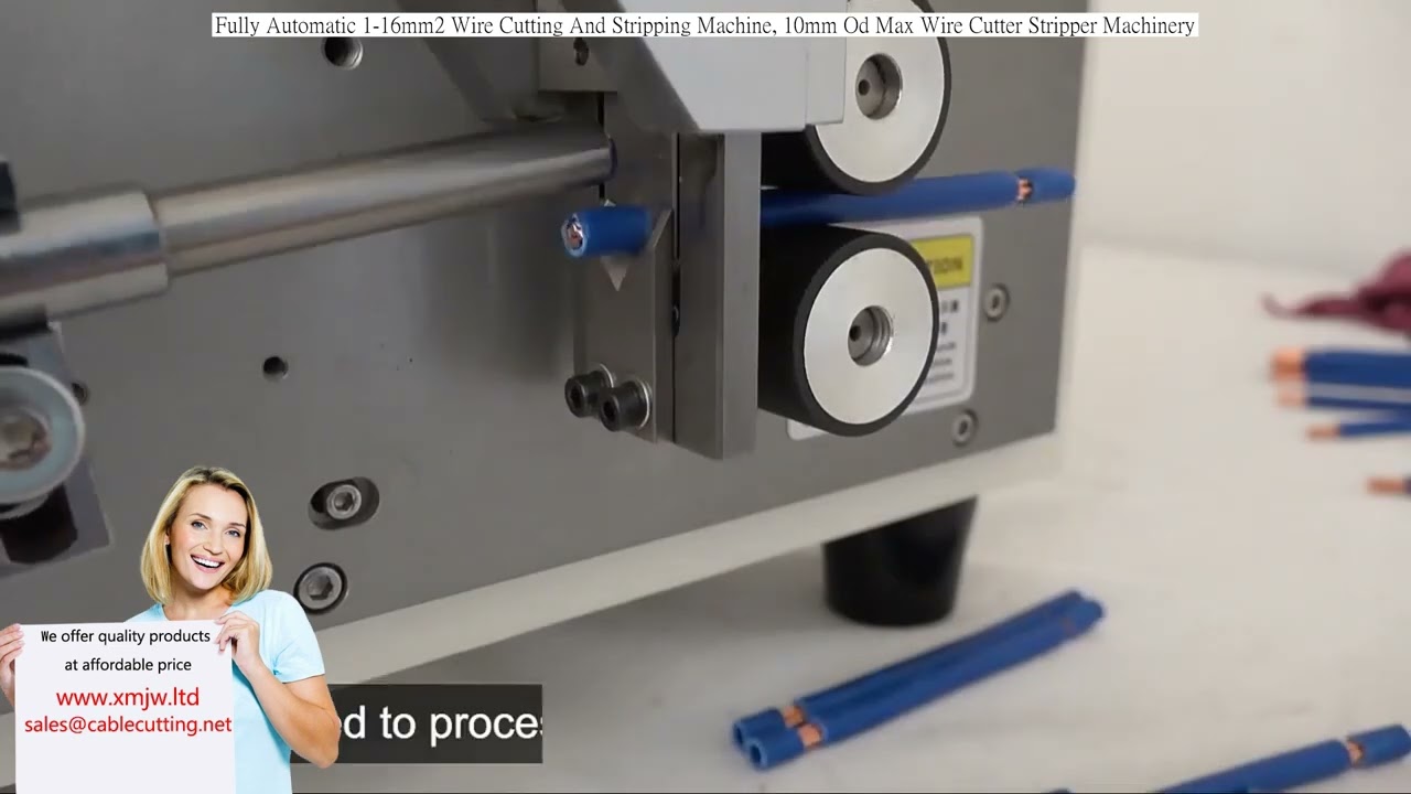 Fully Automatic 1-16mm2 Wire Cutting And Stripping Machine, 10mm Od Max Wire Cutter Stripper Machine