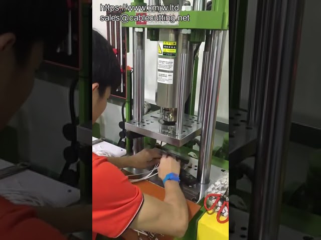 Audio Plug Usb Electronic Cable Head Clamping Plastic Vertical Injection Molding Machine