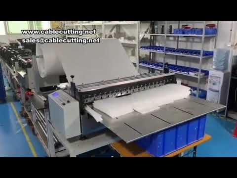 High-Speed Pearl Cotton Cutting Machine | EPE Foam Roll Slicing System