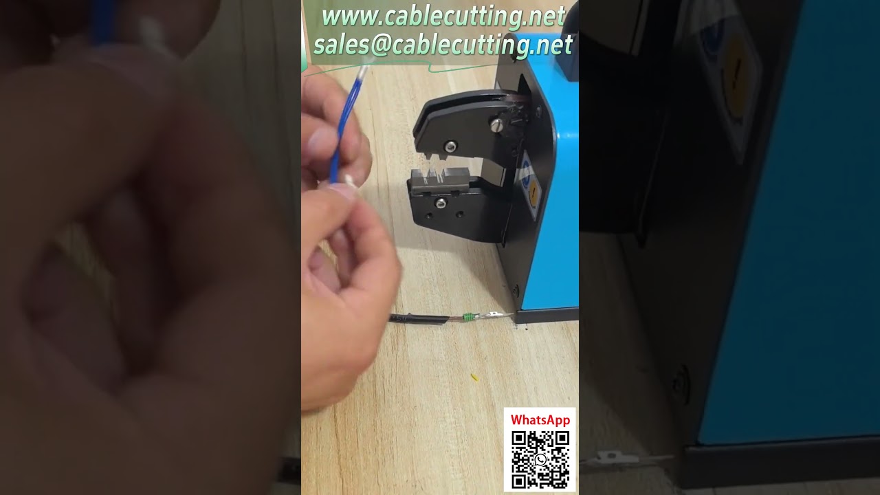 客製模具實現一模壓多類端子 #自動化設備 #五金工具